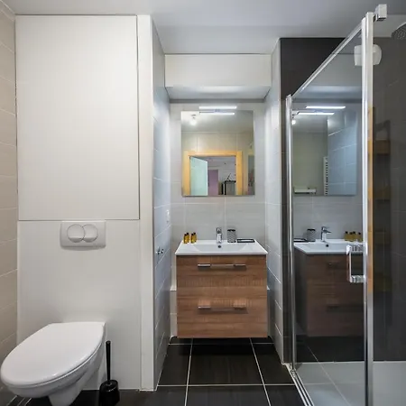 Perle De Savoie - C706 - Bo Immobilier - - Multipass Ete 2025 En Option Au Tarif De 3euros Par Jour Et Par Personne Chatel